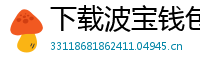 下载波宝钱包